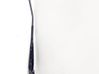Front wiper blade arm 
