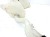 Windshield washer fluid reservoir/tank 