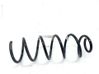 Front coil spring 