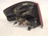 Rear tail light bulb 