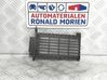 Electric cabin heater radiator N103789TD