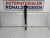 Rear shock absorber/damper FK3118080FA
