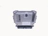 Engine control unit/module 2013029