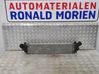 Intercooler radiator 8200732384D