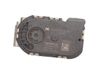 Throttle valve 161203209R