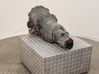 Manual 5 speed gearbox 09E300036BX