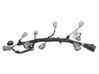 Engine installation wiring loom 242598979R