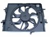 Fan set 255503792R