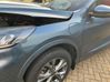 Fender 2547719