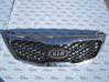 Front bumper upper radiator grill 
