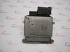 Engine control unit/module 391132B020
