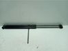 Tailgate/trunk/boot lid buffer 8A61A406A10AC