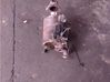 Filtro de partículas del catalizador/FAP/DPF A2114910094