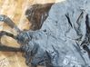 Trunk/boot cargo luggage net 5E5867689