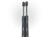 Tailgate/trunk strut/damper 