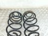 Rear coil spring 