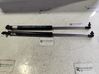 Tailgate/trunk strut/damper 