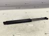 Tailgate/trunk strut/damper 