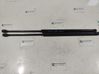 Tailgate/trunk strut/damper 
