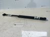 Tailgate/trunk strut/damper 
