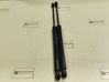 Tailgate/trunk strut/damper 