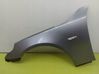 Fender SILBERGRAUMETALLIC