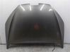 Motorhaube 06570596