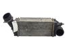 Intercooler radiator 00000384K5