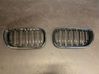 Front grill 188013