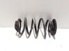 Rear coil spring 