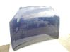 Engine bonnet/hood 
