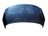 Motorhaube 