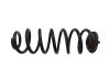 Rear coil spring 