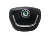 Airbag del volante 1Z0880201AQ