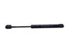 Tailgate/trunk strut/damper 2310400