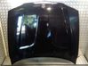 Engine bonnet/hood 41003449411