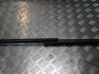 Tailgate/trunk strut/damper 2444429