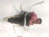 Inyector de combustible 8200603801