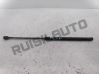Tailgate/trunk strut/damper 