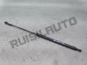 Tailgate/trunk strut/damper 