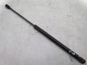Tailgate/trunk strut/damper 