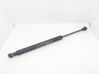 Tailgate/trunk strut/damper 