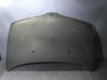 Motorhaube 