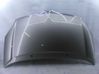 Motorhaube 