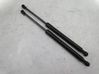 Tailgate/trunk strut/damper 