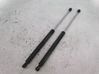 Tailgate/trunk strut/damper 