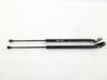 Tailgate/trunk strut/damper 