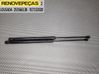 Tailgate/trunk strut/damper 