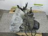 Manual 5 speed gearbox 