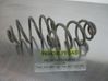 Rear coil spring 